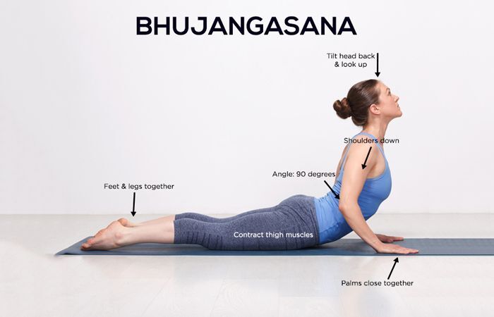 How To Do The Bhujangasana And What Are Its Benefits | Cobra pose yoga ... How To Do The Bhujangasana And What Are Its Benefits | Cobra pose yoga ...