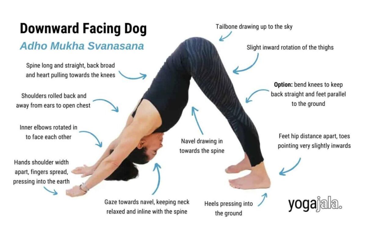 Downward Facing Dog Pose (Adho Mukha Svanasana)